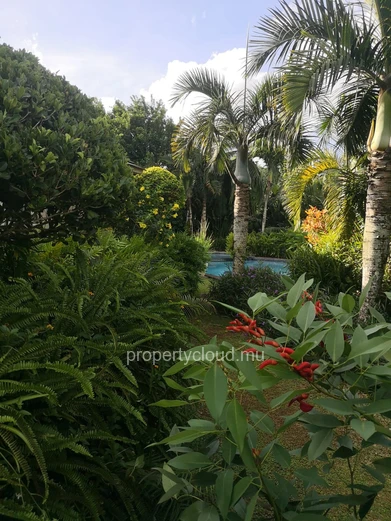 For sale a spacious luxury villa of 505 m2 with swimming pool and beautiful garden in Hillside, Mapou.