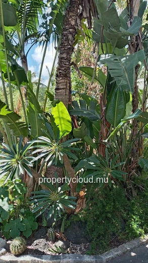 Exceptional 120 m² duplex with a 170 m² landscaped garden in The Vale – A rare and unique property