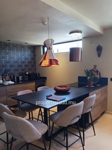 FOR RENT – Superb high-end apartment – Pointe aux Canonniers