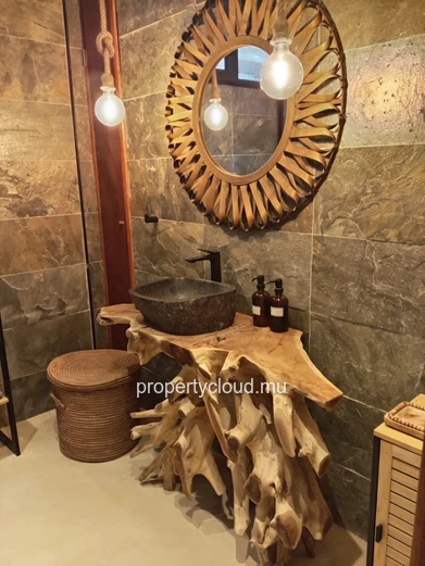 FOR RENT – Superb high-end apartment – Pointe aux Canonniers