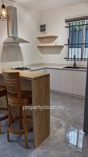 For rent – Brand new villa with swimming pool in the heart of Grand Baie