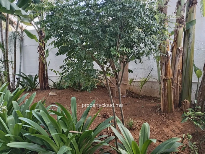 POINTE AUX CANNONIERS - Family home with separate apartment – Quiet neighborhood, close to the beach