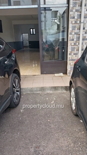 Commercial premises for rent - TRIOLET