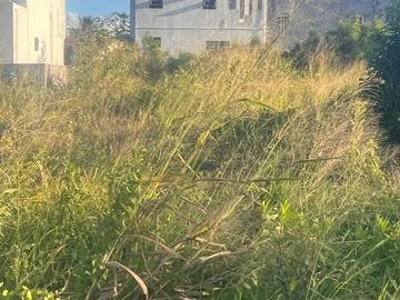 Residential Land