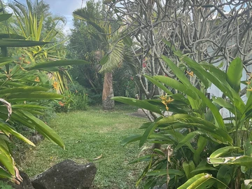5 Bedroom Villa