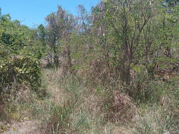 Residential Land