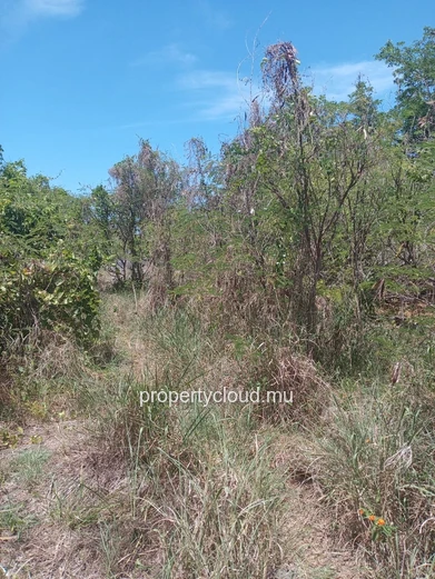 Large residential plot for sale – Calodyne – 2,600 m² (685 toises)