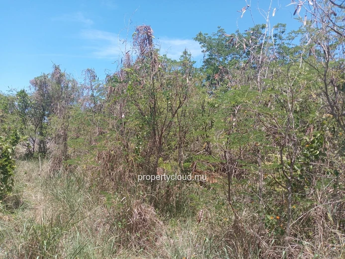 Large residential plot for sale – Calodyne – 2,600 m² (685 toises)