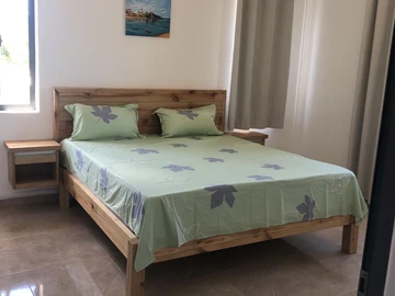 3 Bedroom Apartment